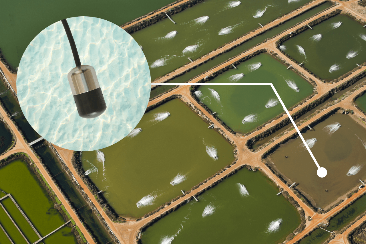 Shrimp Farm Feeder Acoustic Control System
