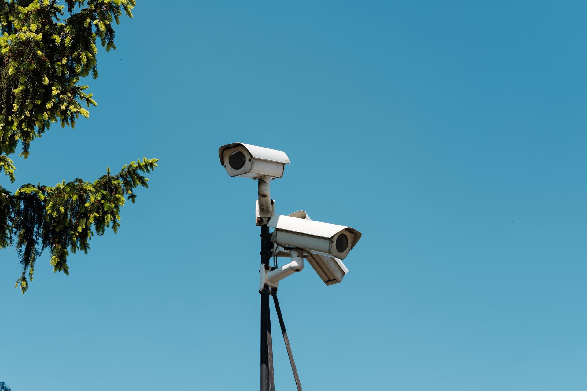 Long Range Security Cameras for Farms