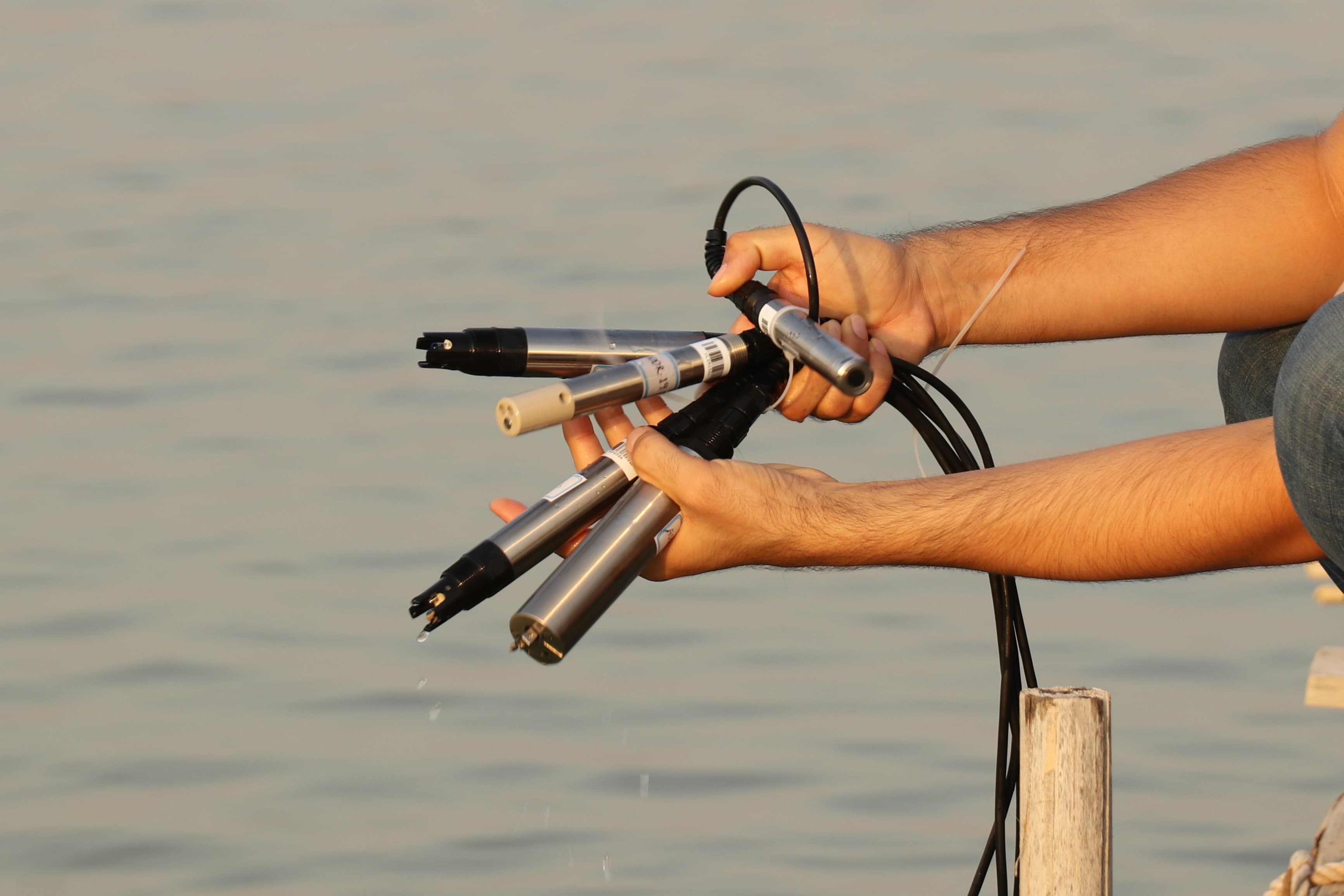 Dahir Smart Aquaculture Platform Dashboards