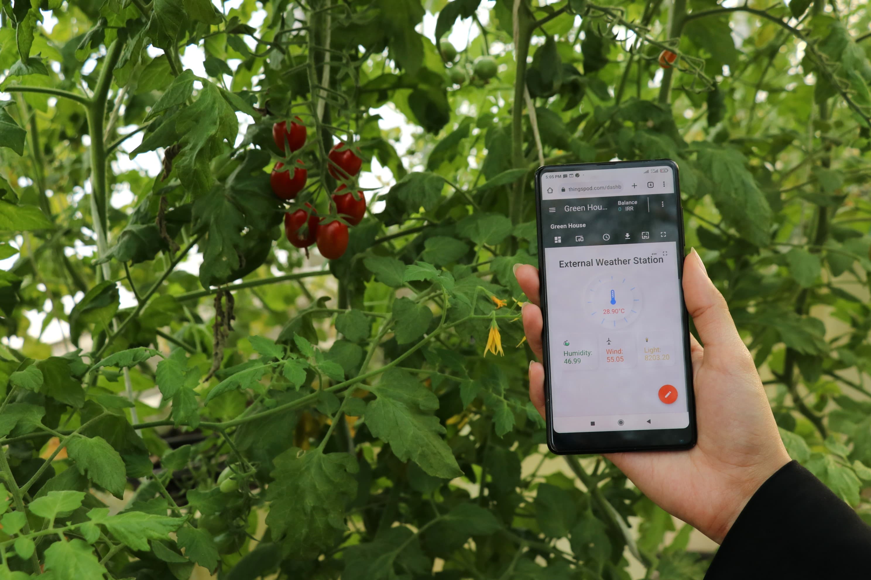 Remote Smart Greenhouse Management Software