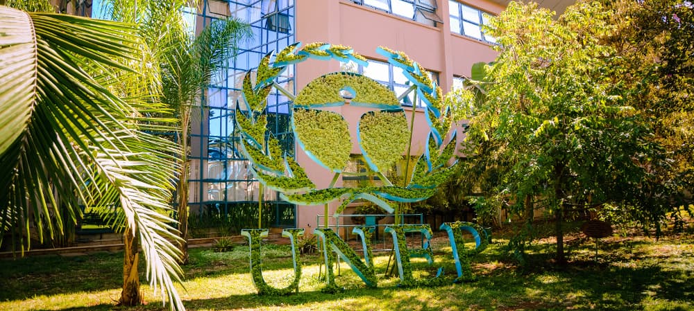 United Nations Environment Program (UNEP)